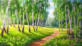 唯美的绿色树林小路