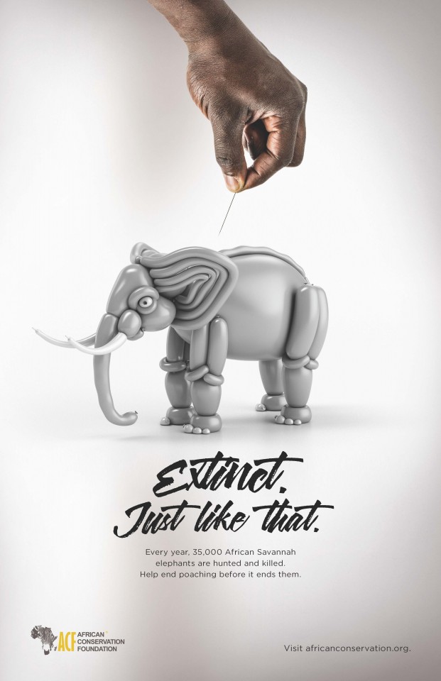 保护黑犀牛的英语海报图片