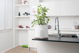 Clairy-智能自然空气净化器-您的家庭或办公室的智能自然空气净化器
