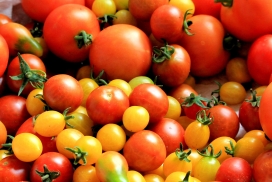 高清晰新鲜西红柿水果蔬菜壁纸