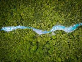 高空绿色森林中的蓝色小河