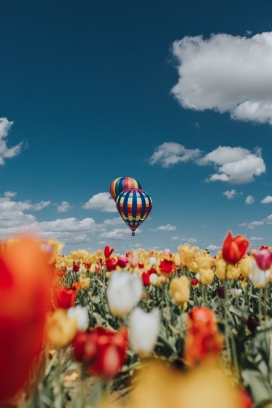 五彩花丛中的热气球