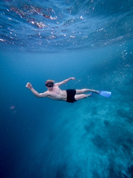 蓝海中穿蹼游泳潜水的男子