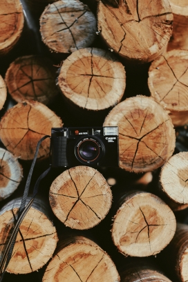木材堆上的相机