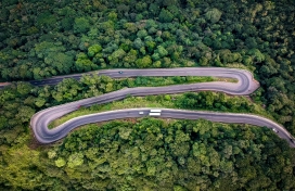 Z型森林弯道公路