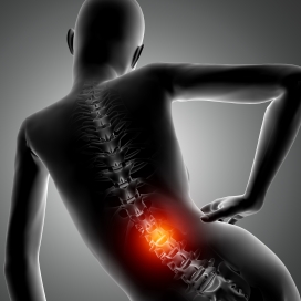 腰部脊椎疼痛的人体结构图