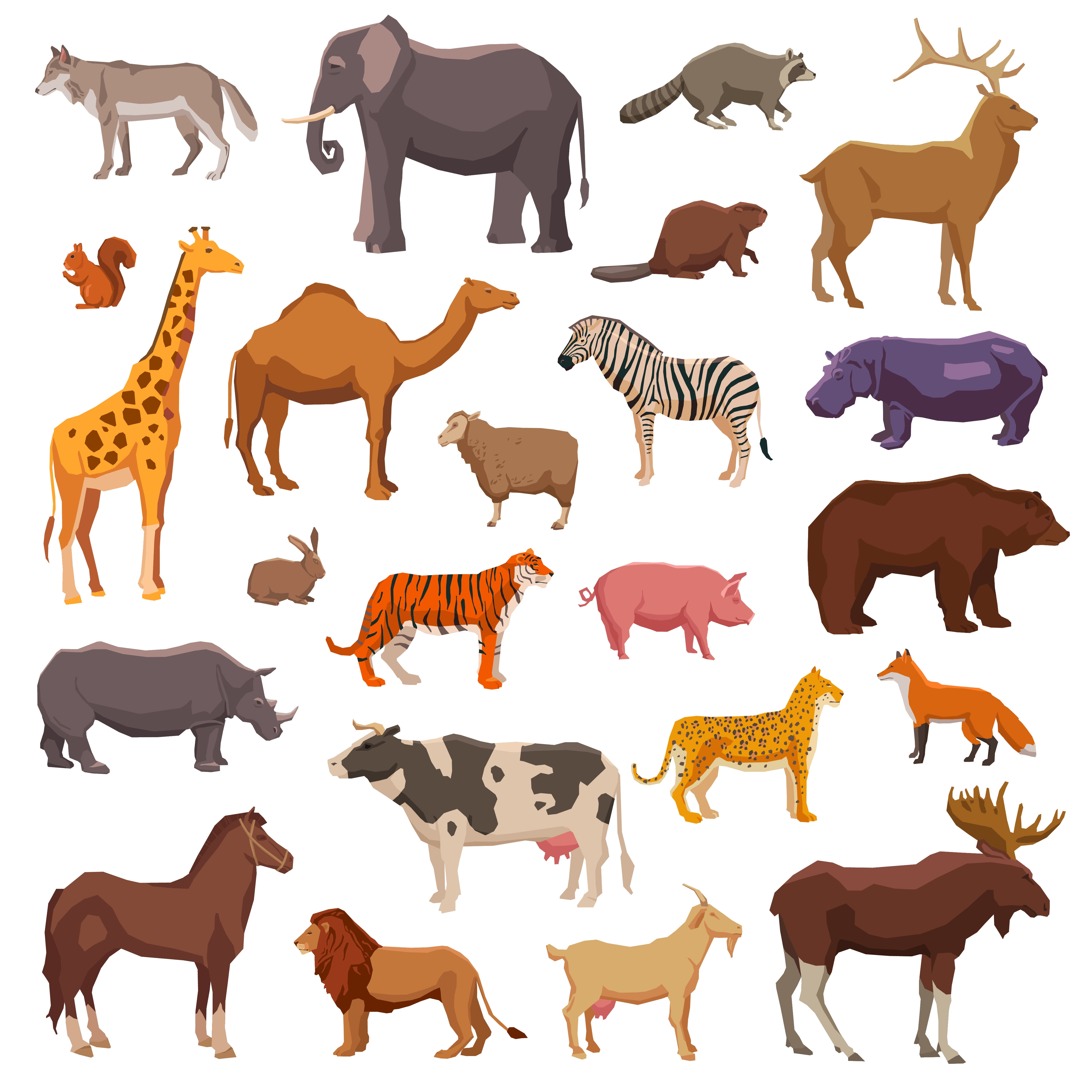 非洲草原所有动物名单图片