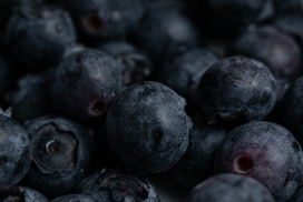 黑色蓝莓水果