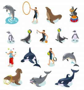 海豚海狮表演卡通素材
