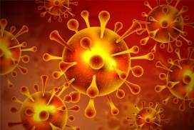冠状病毒写真图