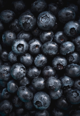 乌黑的蓝莓水果