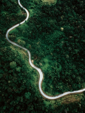 像蛇一样的森林山路