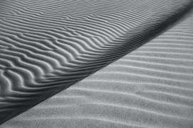 像波浪曲线的沙漠黑白图片
