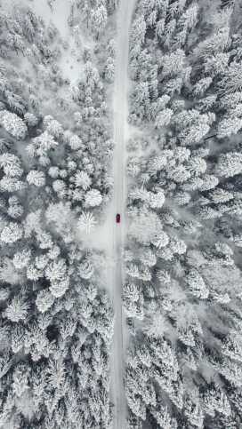 冬季航拍的森林雪路图片