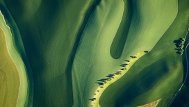 米奇·罗斯的相片-绿色春季草甸