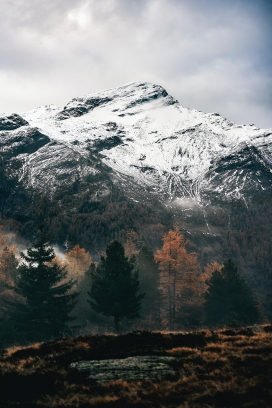 秋季的冬天雪山森林图