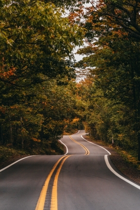 秋季森林公路图片
