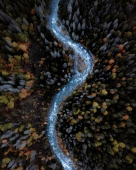 高空俯拍的森林河流