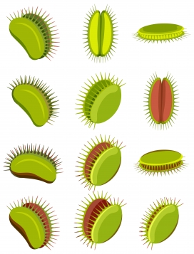 卡通绿色捕蝇草食虫植物昆虫素材