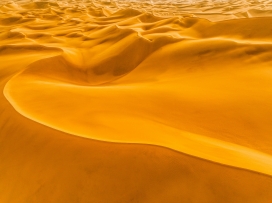 金色沙丘图
