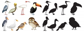 卡通鸟类动物素材下载