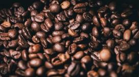 熟透了的咖啡豆