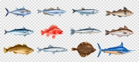 卡通各种各样鱼类素材下载