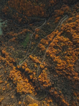 秋季俯拍森林公路