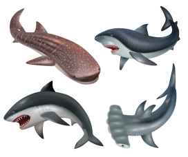 卡通逼真的鲨鱼鲸鱼素材下载