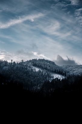 冬季小山坡风景图