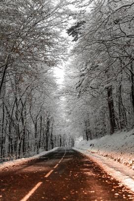 冬季森林小路