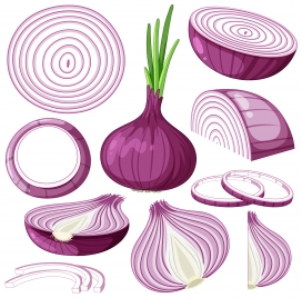 卡通紫色洋葱切面切片素材
