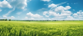 蓝天白云下的绿色大草原