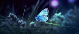 春天草丛中的蓝色蝴蝶