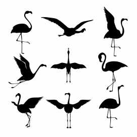 黑白扁平火烈鸟轮廓系列剪影素材