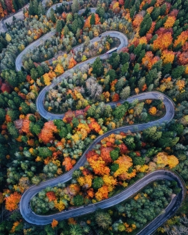 秋季自然探索-弯曲的林间小道