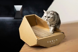 特斯拉推出的Cybertruck猫托盘-震惊互联网，它可能是你宠物的床或垃圾箱