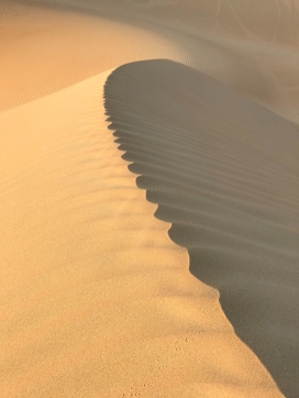 缓缓上升的金色曲线波浪纹沙漠图