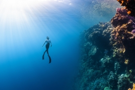 潜入蓝色深海珊瑚礁的女潜水员