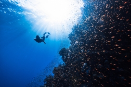 水下摄影师蓝色深海探秘