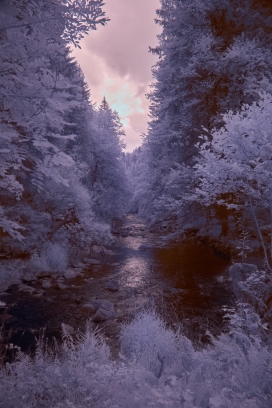 紫色冬季溪流河流图