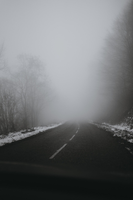 雾气蒙蒙的公路