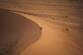 行走在沙漠边缘的行者