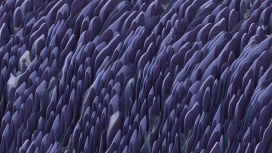 紫色抽象叠片背景