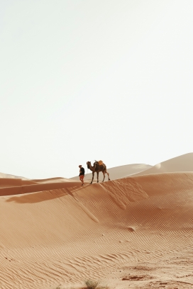 沙漠中遛骆驼的行者