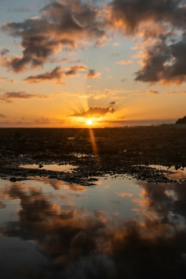 沼泽湖的日出日落