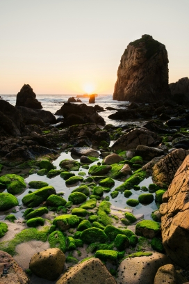 长满绿色苔藓的海岛石头石块