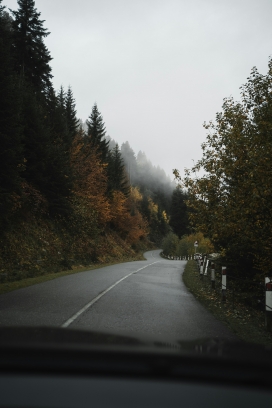 雨后的森林马路