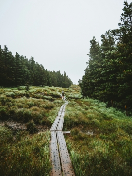 绿色山区小路