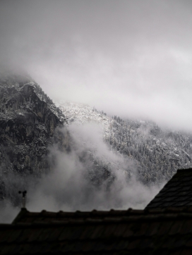 雾气山林森林风景图